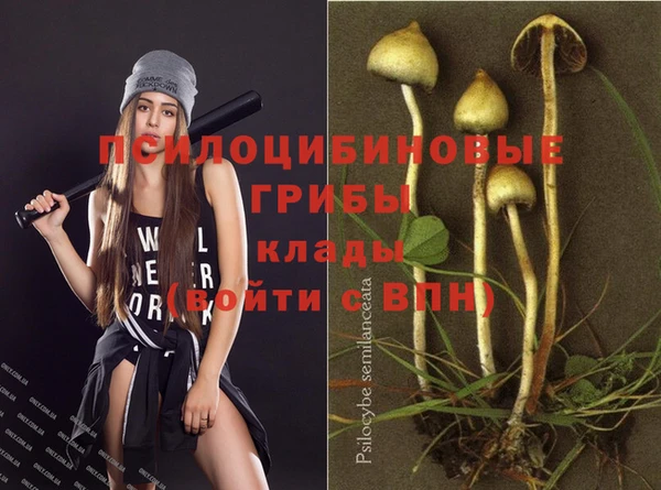 кокс Зерноград