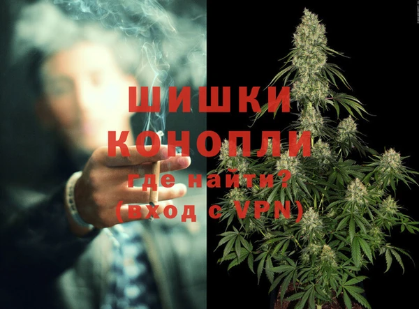 сатива Мамадыш