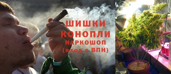 спиды Заводоуковск