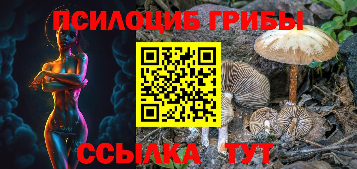Галлюциногенные грибы Psilocybine cubensis Среднеуральск