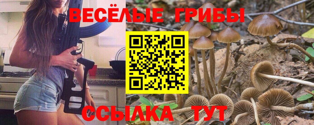 Среднеуральск  Псилоцибиновые грибы мухоморы  Псилоцибиновые грибы MAGIC MUSHROOMS  Вход с VPN 